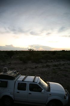 Sunset on the Okavango Delta