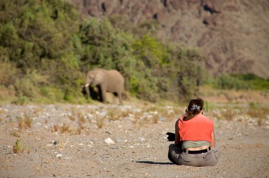 Woman sitting on the floor with camera and observing elephant in the Skeleton Coast Desert late afternoon