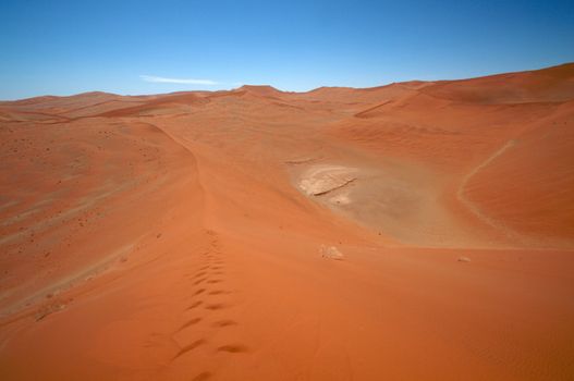 Dune sea of the Namib desert during a hot day
