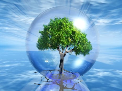 green tree in a bubble