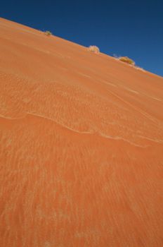 Dune sea of the Namib desert during a hot day
