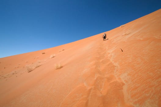 Man climbing the biggest dune in Sossusvlei