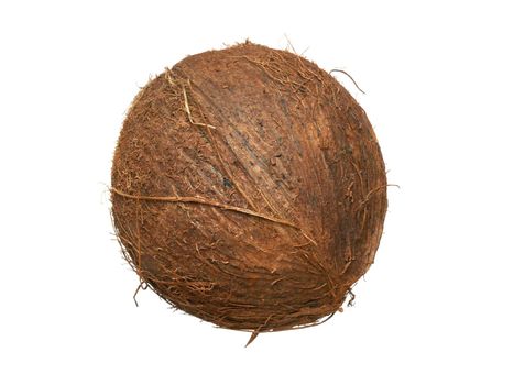 Single whole coconut isolated over white background