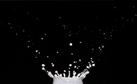 Crown-shaped splash of milk on black background