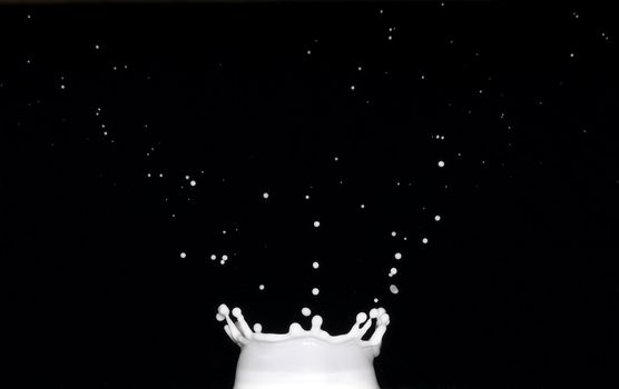 Crown-shaped splash of milk on black background