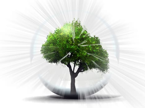 green tree in a bubble