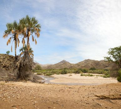 Wild landscape in the Kaokoland desert in Namibia