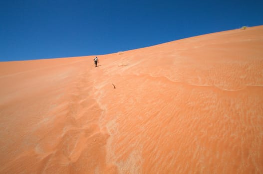 Man climbing the biggest dune in Sossusvlei