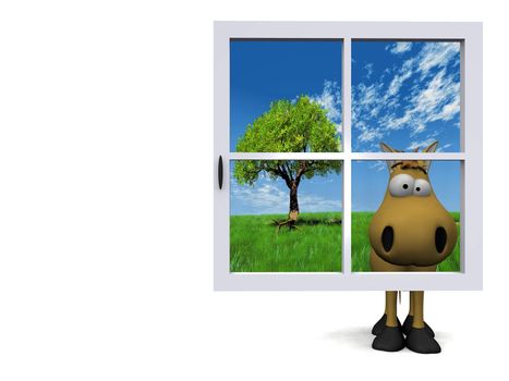 horse behind the blue window
