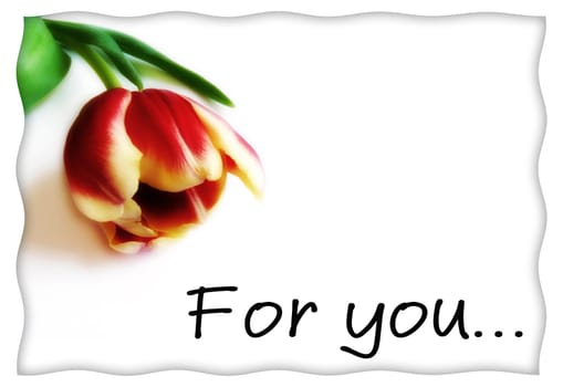 Postcard or love letter template with flower and inscription "for you"