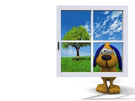 dog behind the blue window
