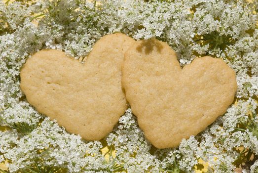 shortbread delicious heart-shaped flowers on