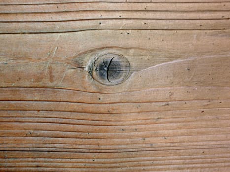A wood texture with knot