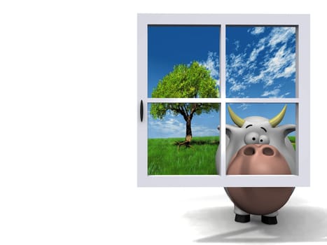 cow behind the blue window
