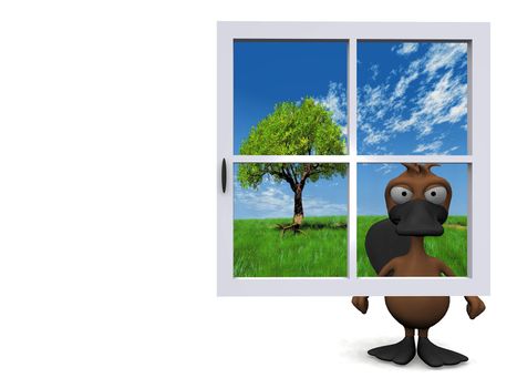 platypus behind the blue window

