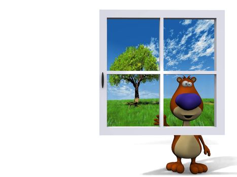 bear behind the blue window
