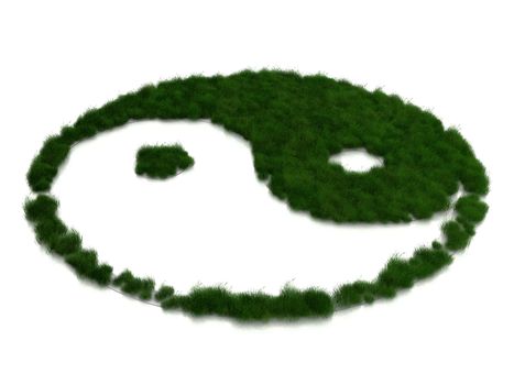 ying  yang grass on white background