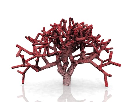 red coral on white background