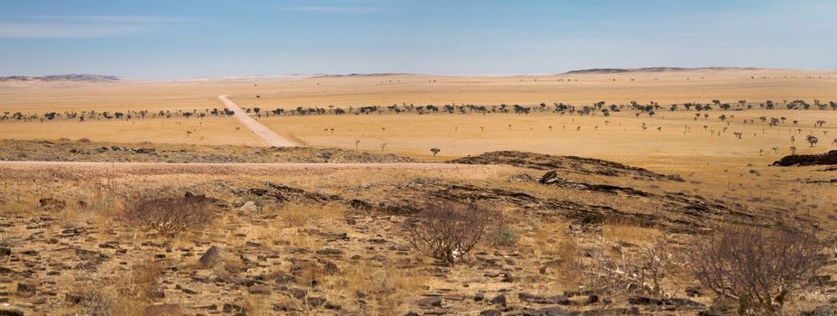 Surreal panorama of the Namib desert going towards solitaire and sossusvlei