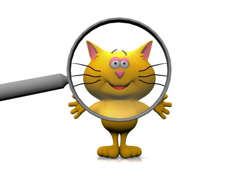 cat and the magnifying glass
