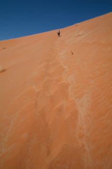 Man climbing the biggest dune in Sossusvlei