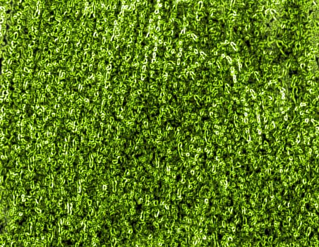 Abstract green texture