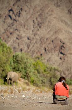 Woman sitting on the floor with camera and observing elephant in the Skeleton Coast Desert late afternoon