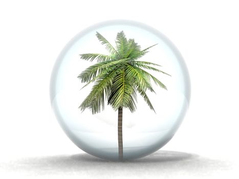 the palm tree in the bubble