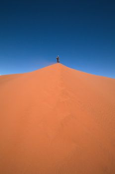 Man at the top of the dune in Sossusvlei - Namib desert during a hot day
