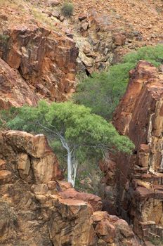 The Epupa Falls lie on the Kunene River, on the border of Angola and Namibia