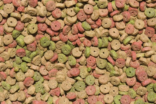 background of dry cat food, small nuggets of colors