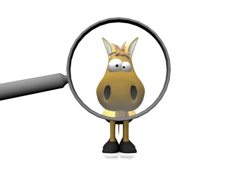 horse and the magnifying glass
