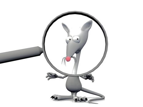 rat and the magnifying glass
