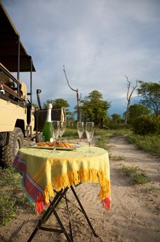 Champagne and a safari game drive in Botswana