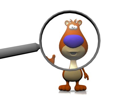 bear and the magnifying glass
