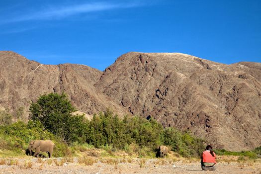 Woman sitting on the floor with camera and observing elephant in the Skeleton Coast Desert late afternoon