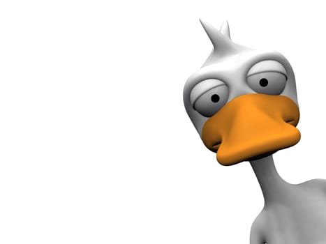 duck on a white background
