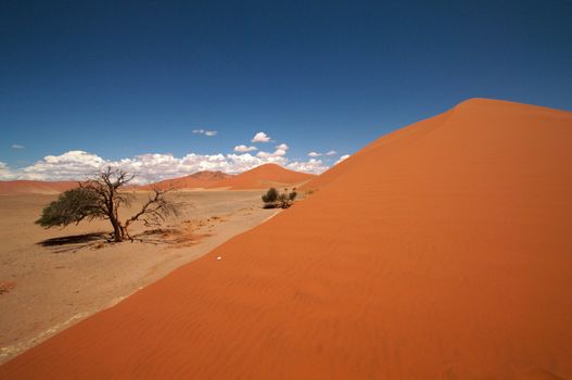 Dune sea of the Namib desert during a hot day
