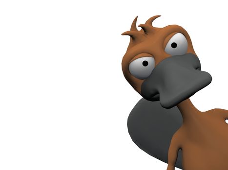 platypus on a white background
