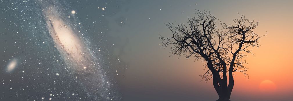 dead tree against a background of Milky Way