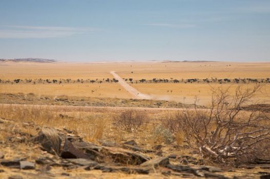 Namib Desert in Central Namibia