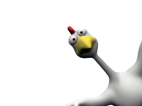 bird on a white background

