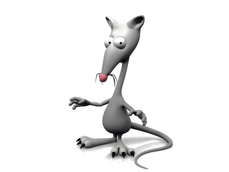 rat on a white background
