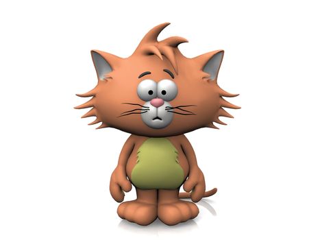 cat on a white background
