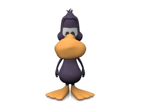duck on a white background

