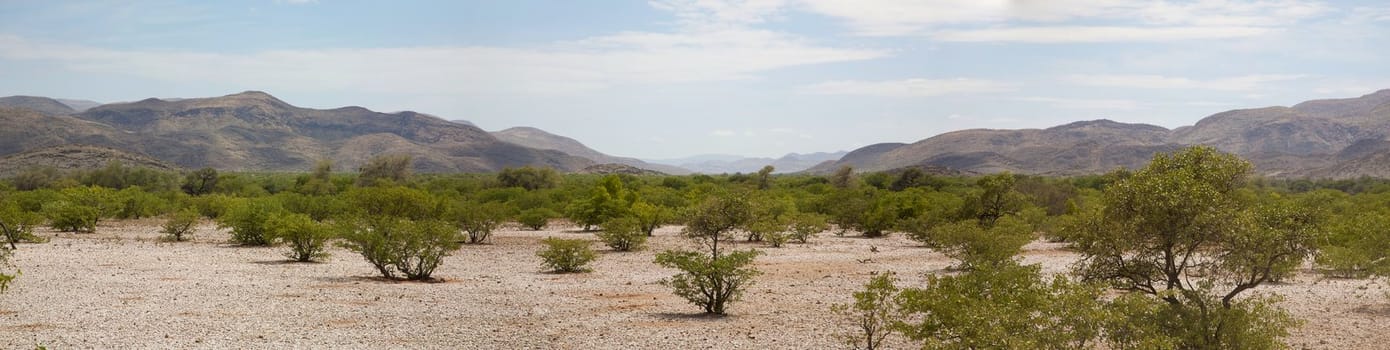Wild landscape in the Kaokoland desert in Namibia