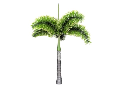 palm tree on white background