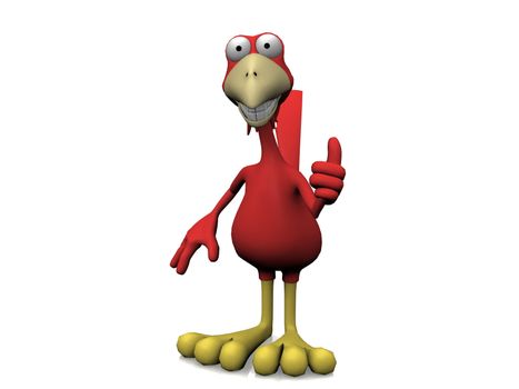 bird on a white background
