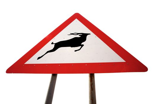 Sign road warning that antelopes could cross the road in Namibia
