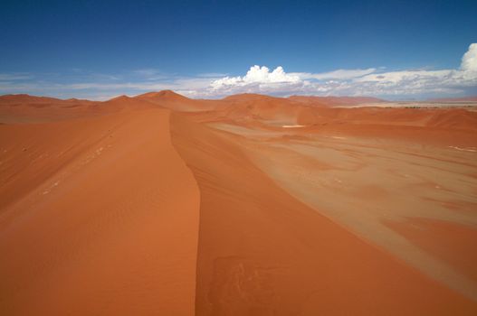 Dune sea of the Namib desert during a hot day with blue sky
